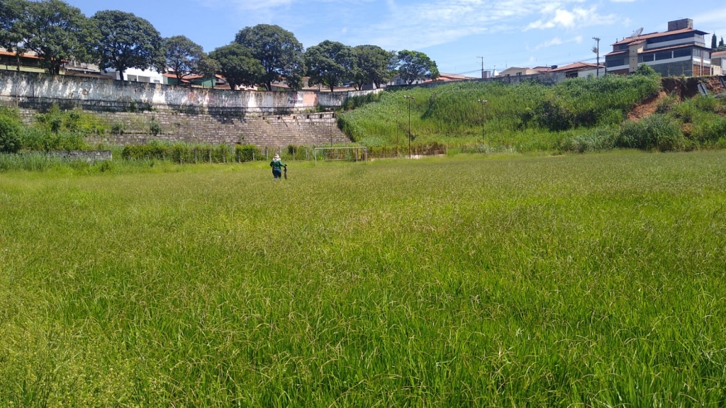 Projeto de preservação de cavalo-marinho fecha por falta de apoio em Porto  de Galinhas