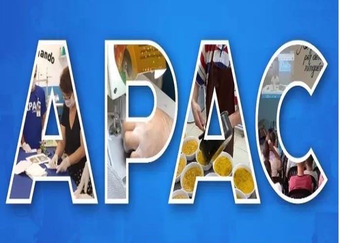 APAX - Academia Palmeirense de Xadrez