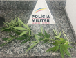 Fotocapa policial